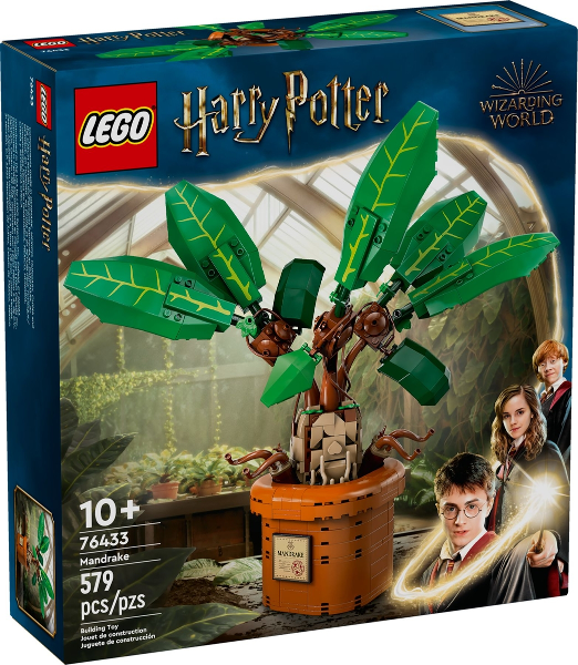 76433 - Mandrake - EMPTY BOX ONLY