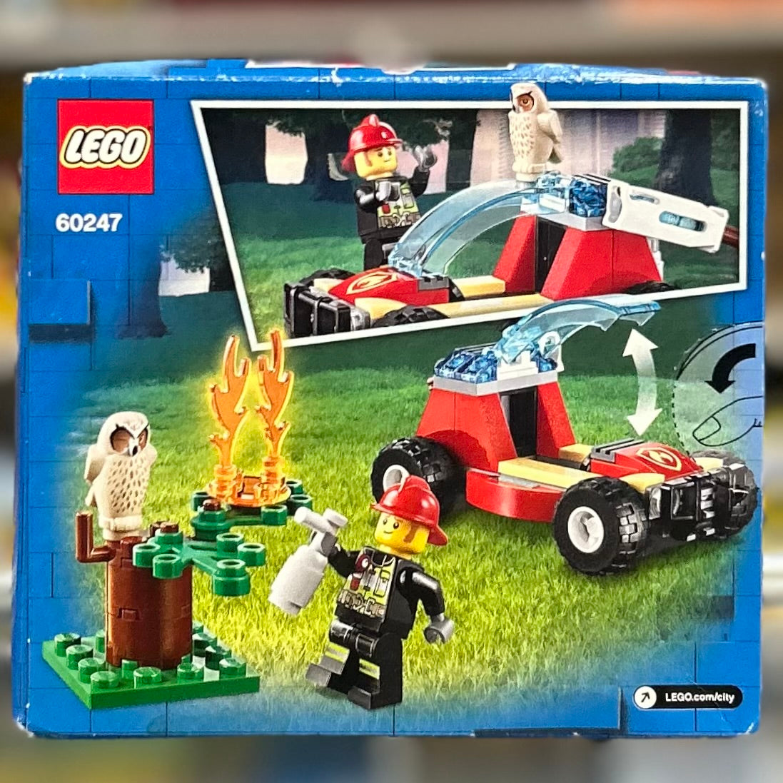 Forest Fire, 60247
