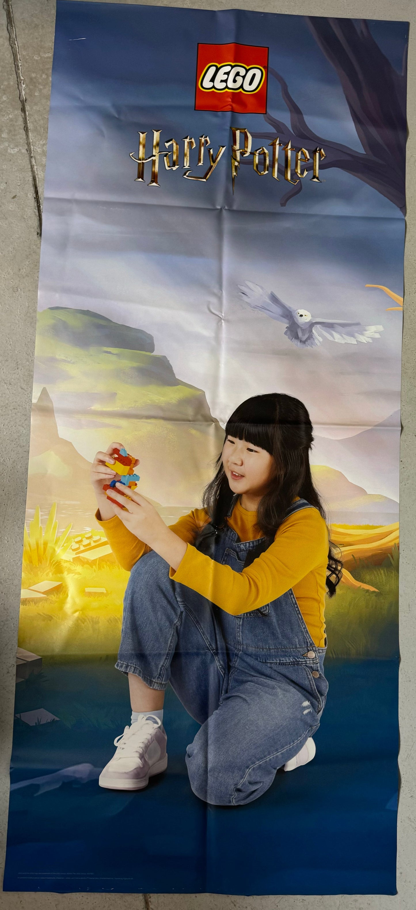 Cloth Banner - Harry Potter Double Sided