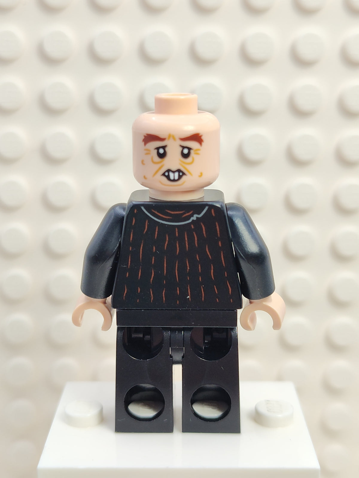 Peter Pettigrew, hp351
