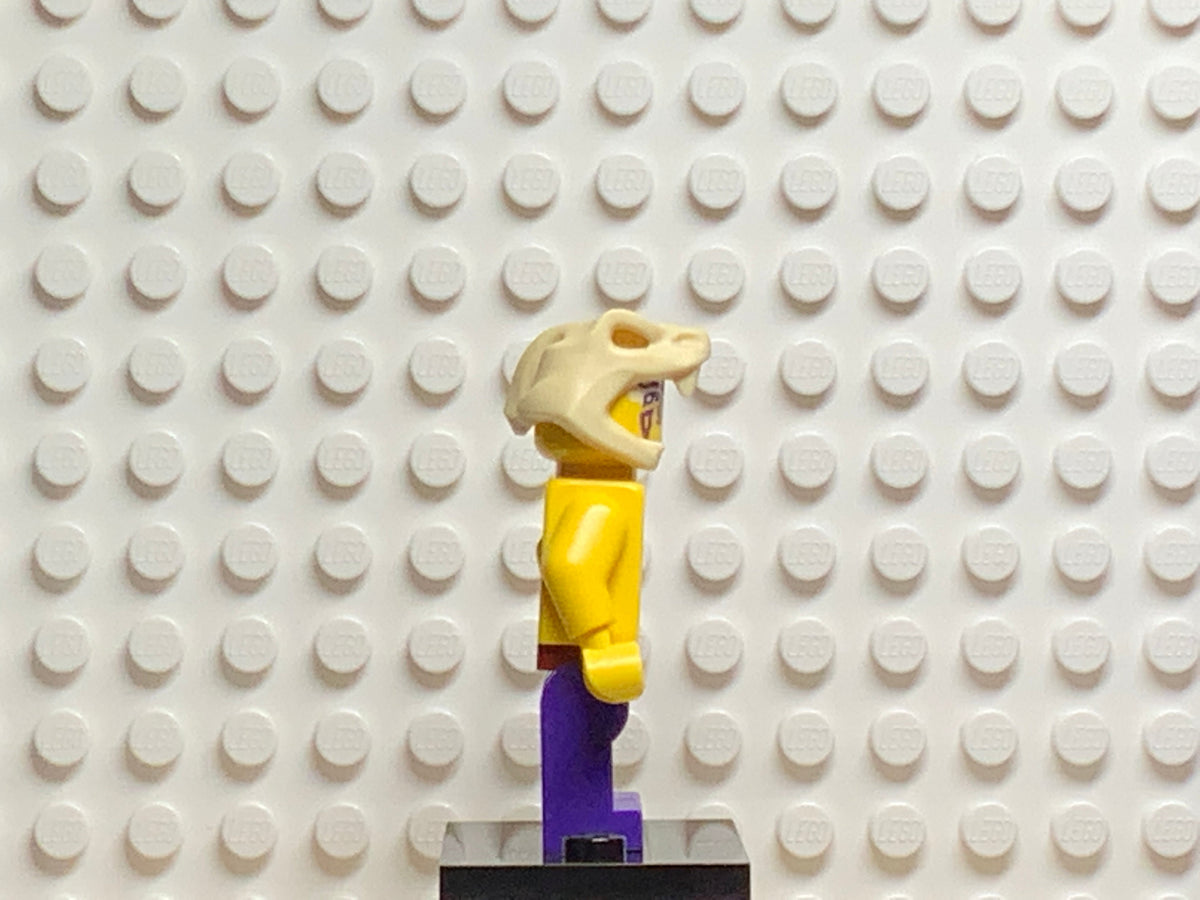Krait, njo0120 - LEGO® Ninjago Minifigure