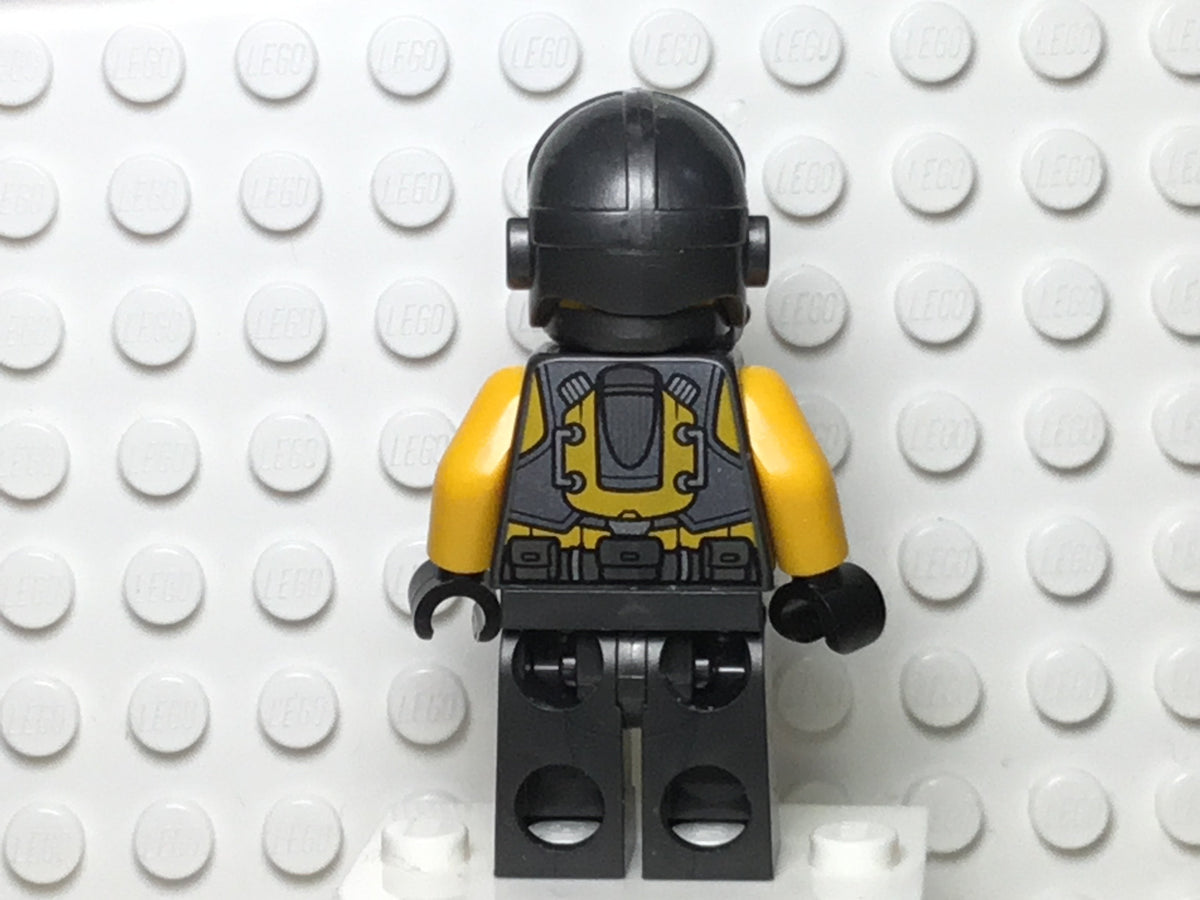 AIM Agent, sh0657