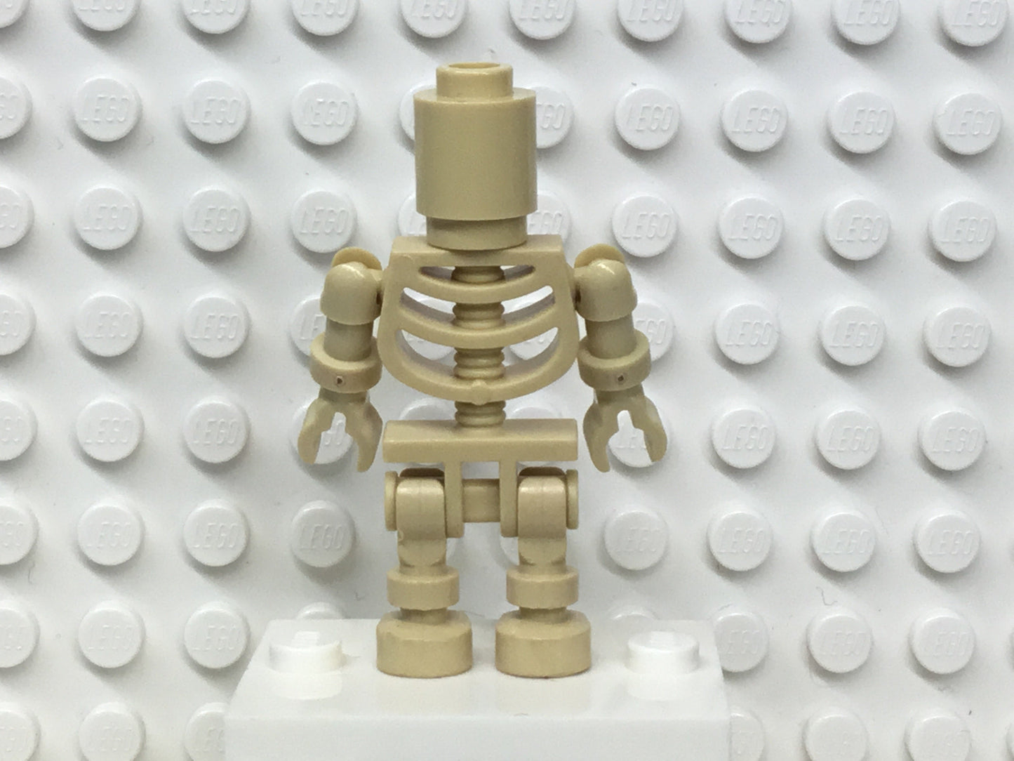 Skeleton with Round Brick Head (Ninjago Bowling Pin), gen035