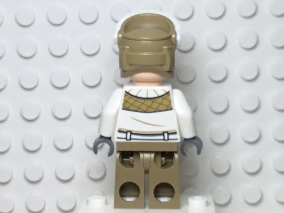 Hoth Rebel Trooper, sw1016