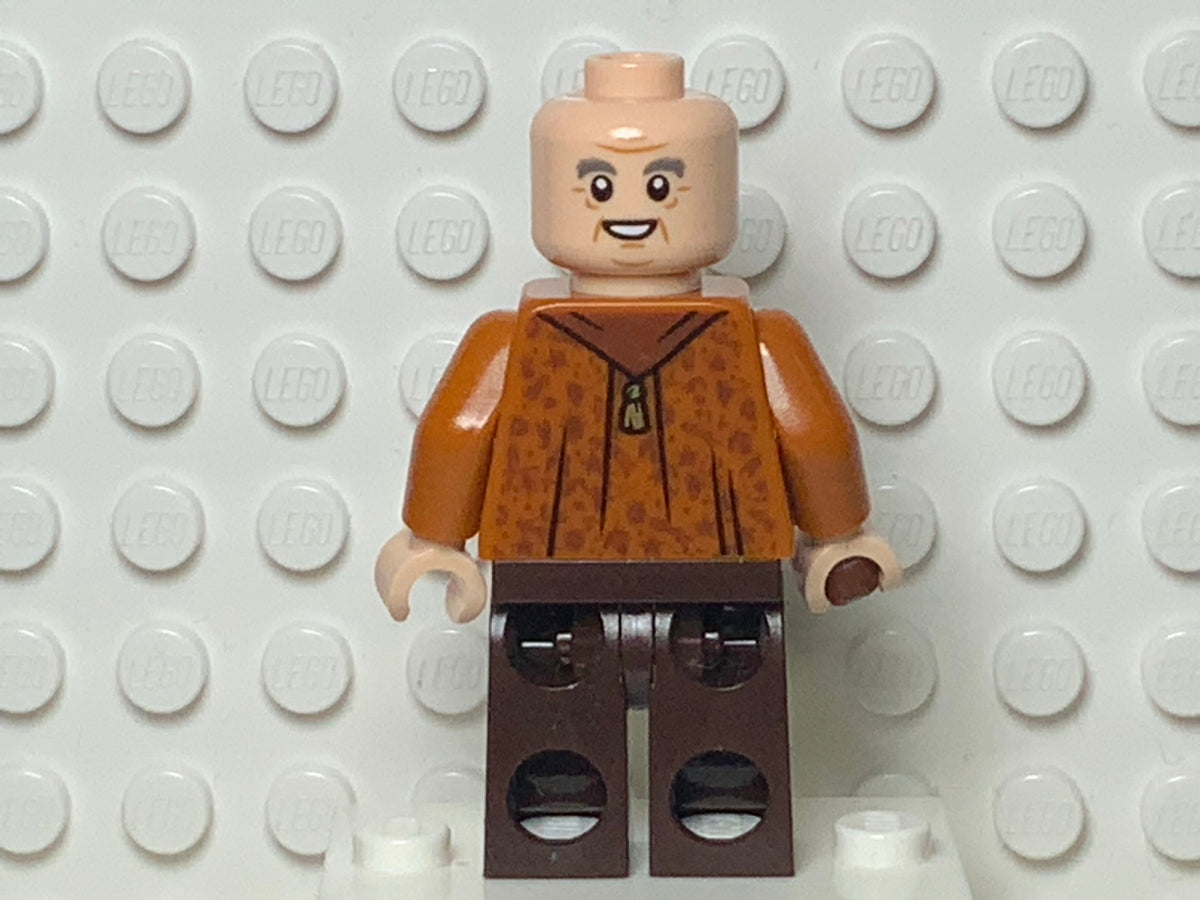 Horace Slughorn, hp230