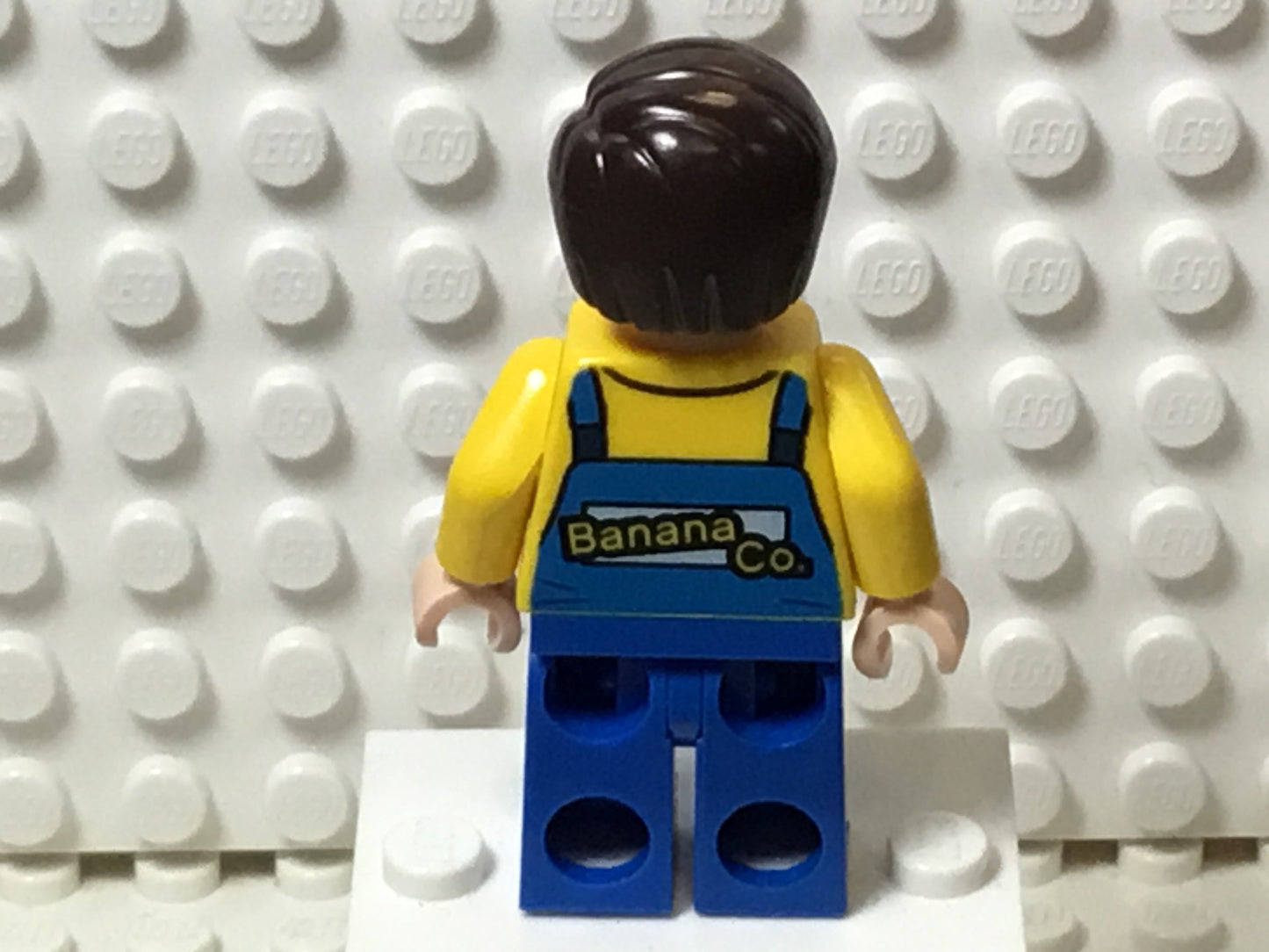 Truck Driver, sh0149 - LEGO® DC Minifigure
