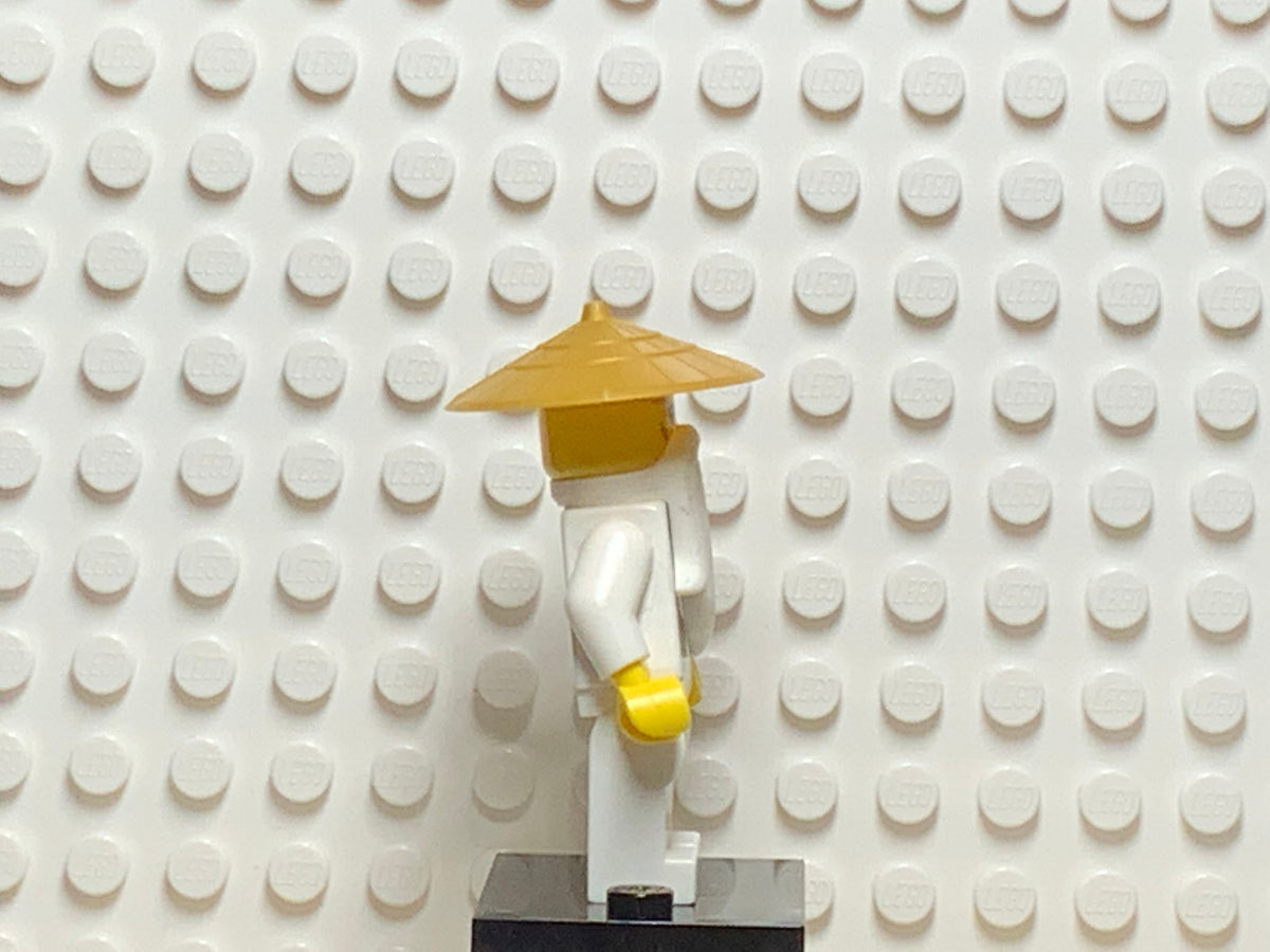 Sensei Wu, njo0180
