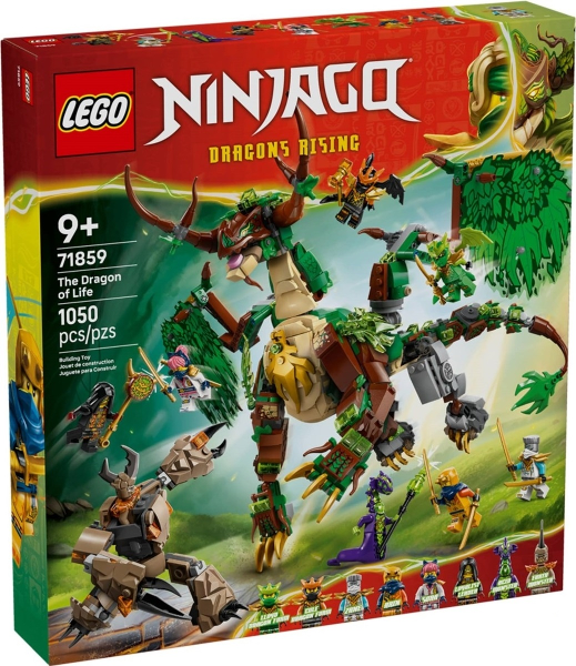 71859 - The Dragon of Life - EMPTY BOX ONLY