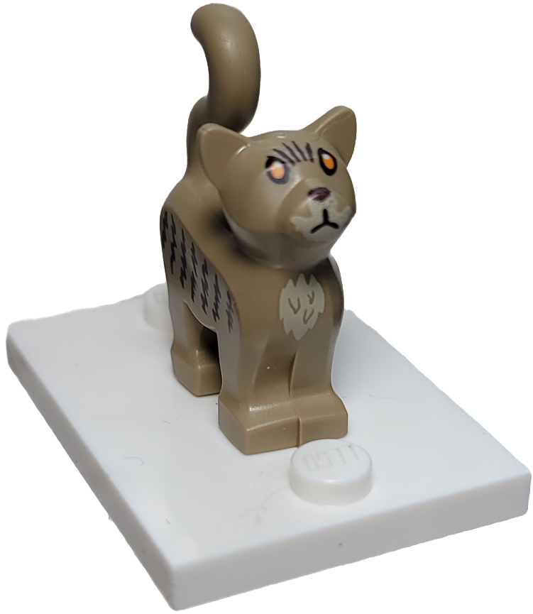 Cat (HP Mrs. Norris), 13786pb07