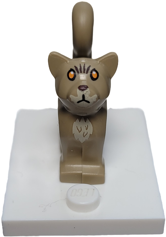 Cat (HP Mrs. Norris), 13786pb07