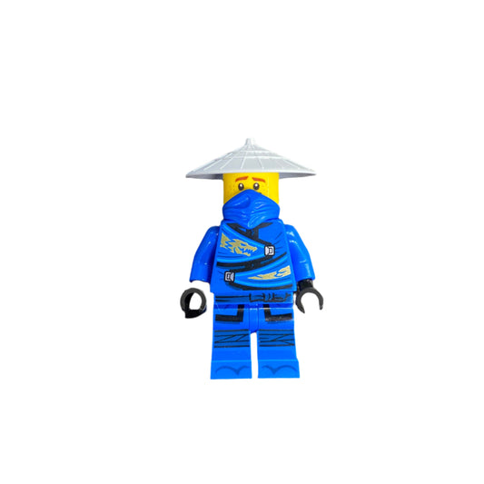 Jay-Merchant, njo0595