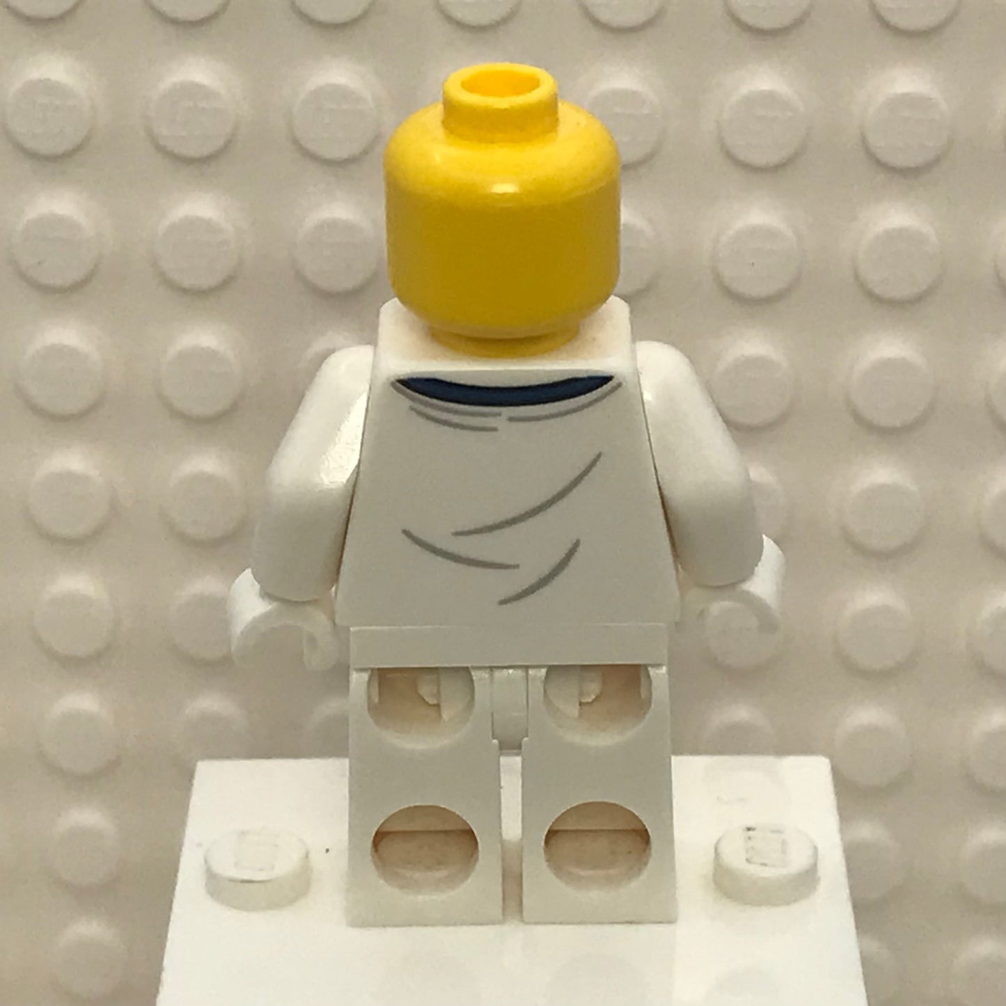 NASA Apollo 11 Astronaut, twn374