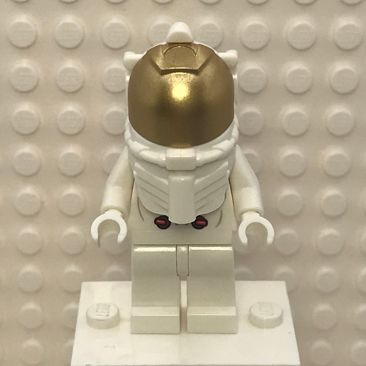 NASA Apollo 11 Astronaut, twn374