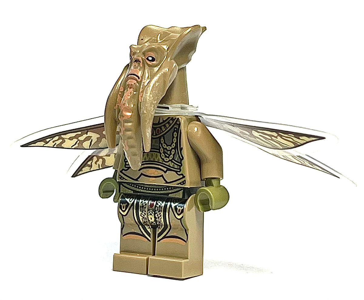 Poggle the Lesser, sw0474