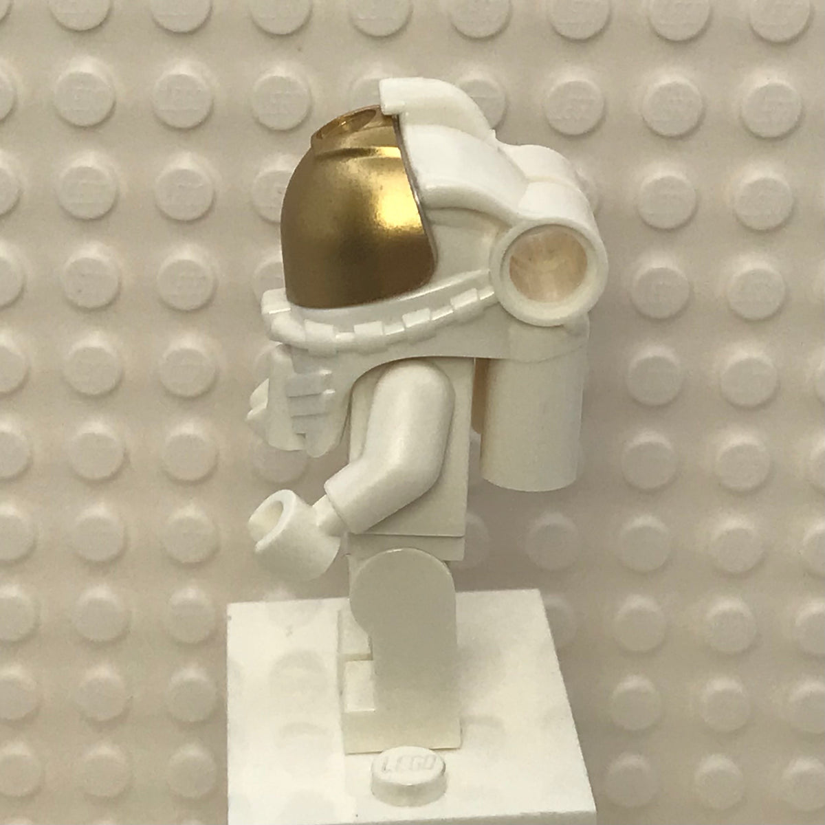 NASA Apollo 11 Astronaut, twn373
