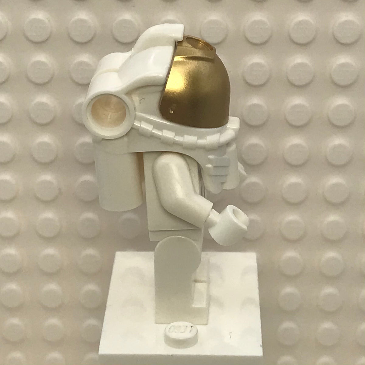 NASA Apollo 11 Astronaut, twn374