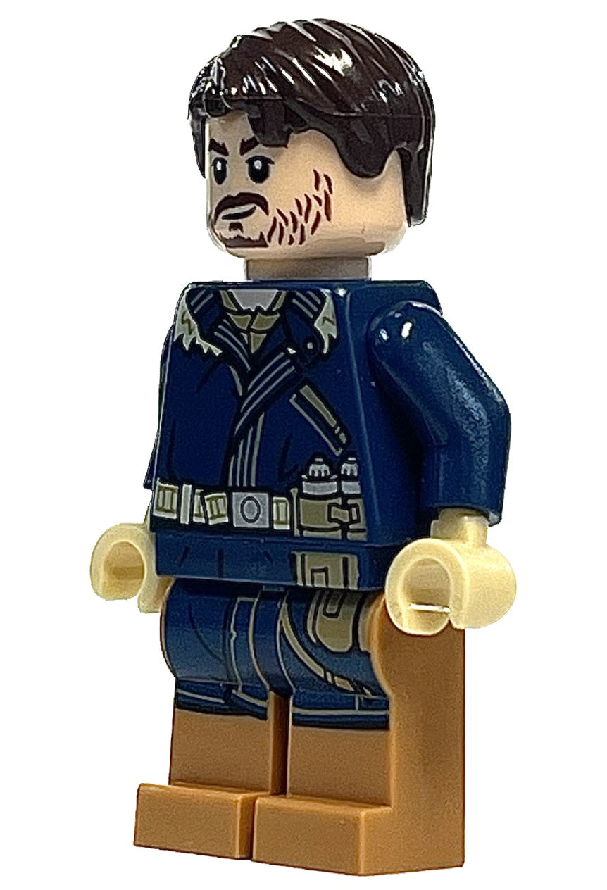 Cassian Andor (Dark Blue Coat), sw0790