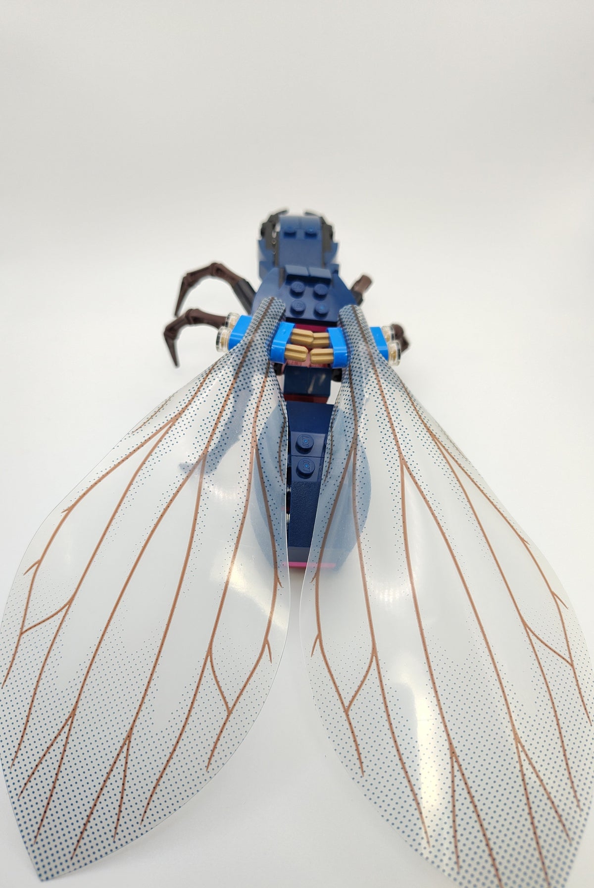 Ant-thony, ant01