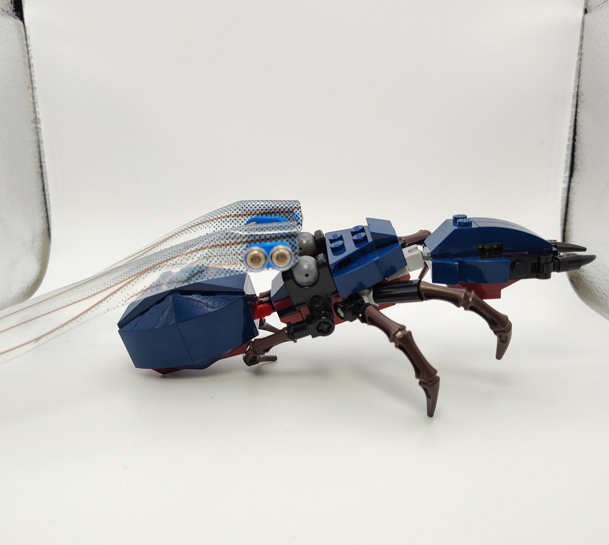 Ant-thony, ant01