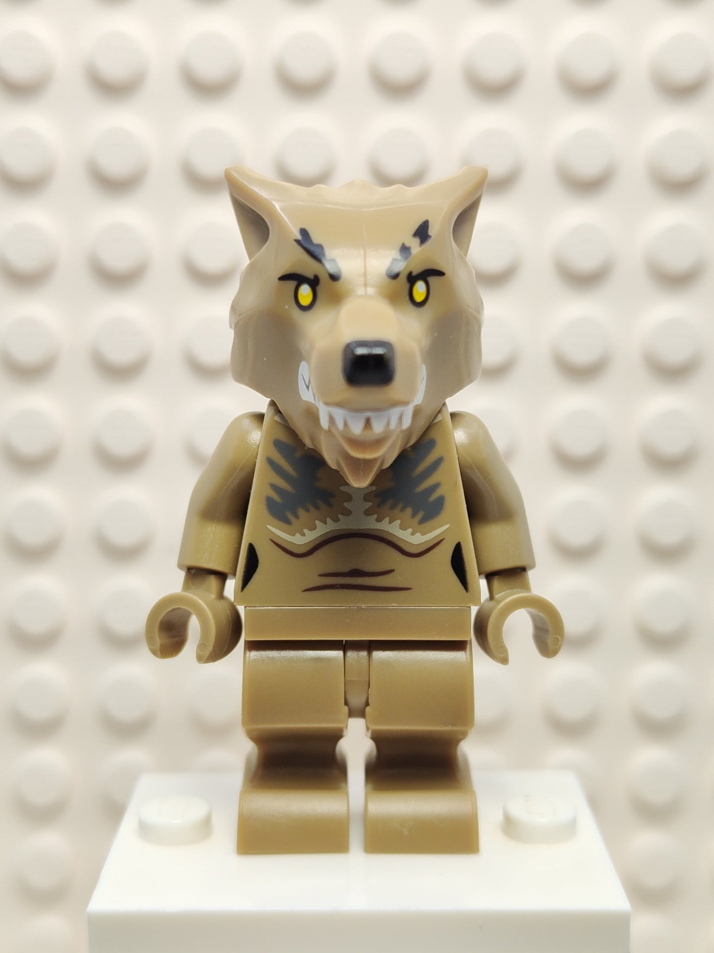 Professor Remus Lupin - Werewolf, hp348