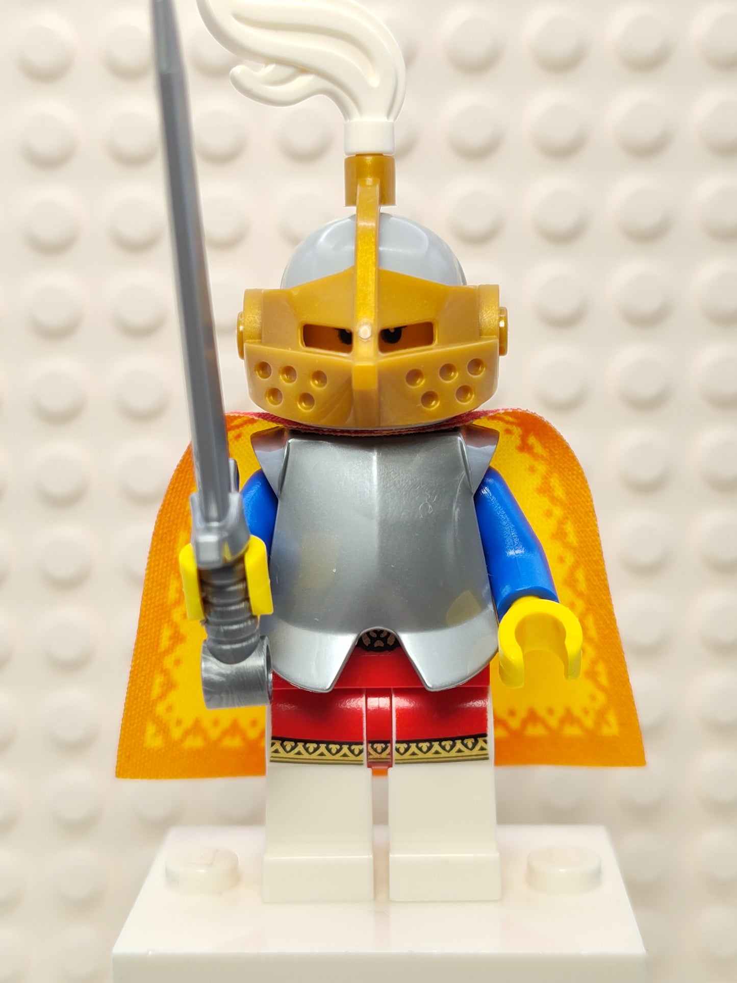Lady of the Brave Lion Knights, cas568