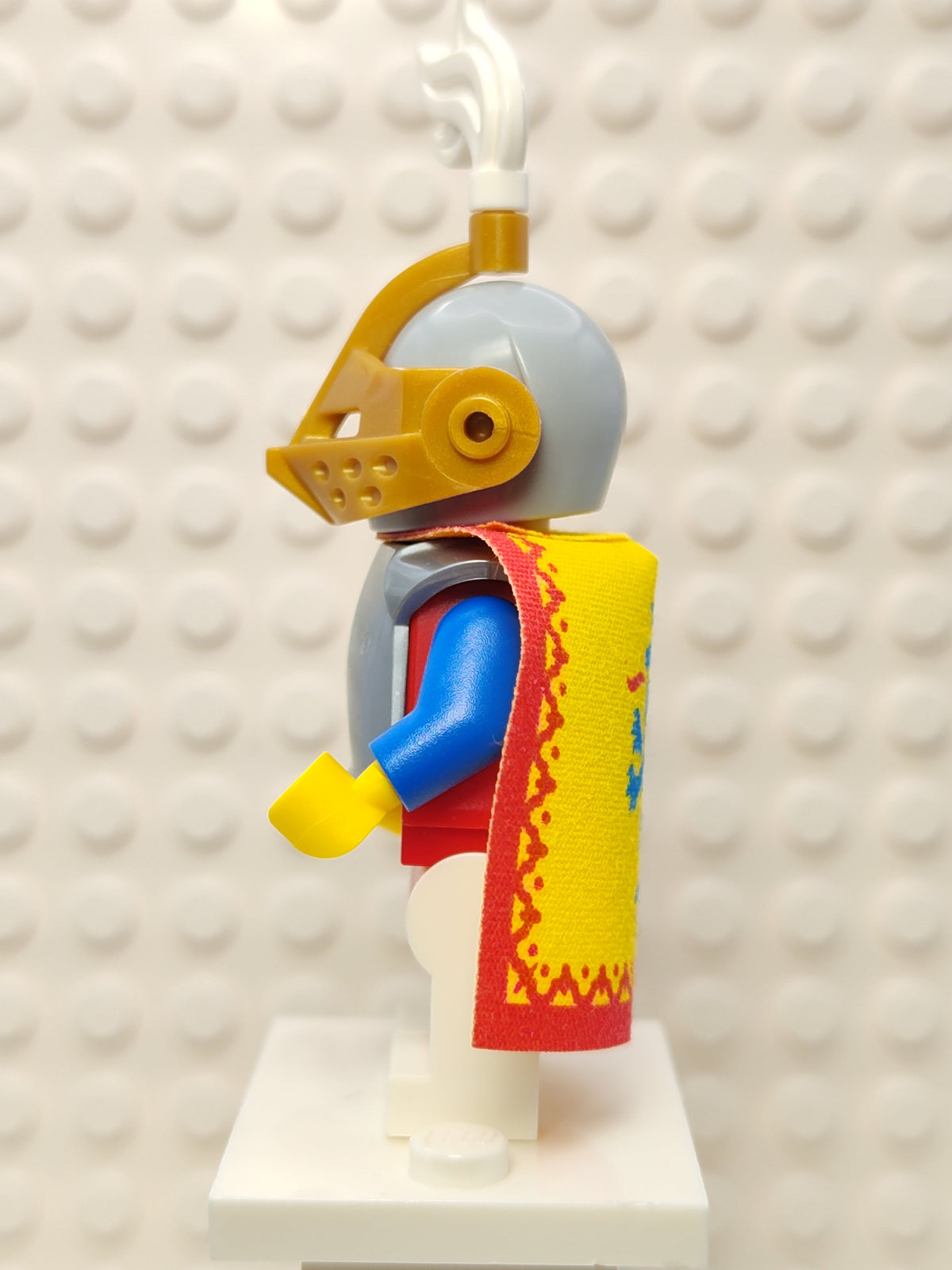 Lady of the Brave Lion Knights, cas568