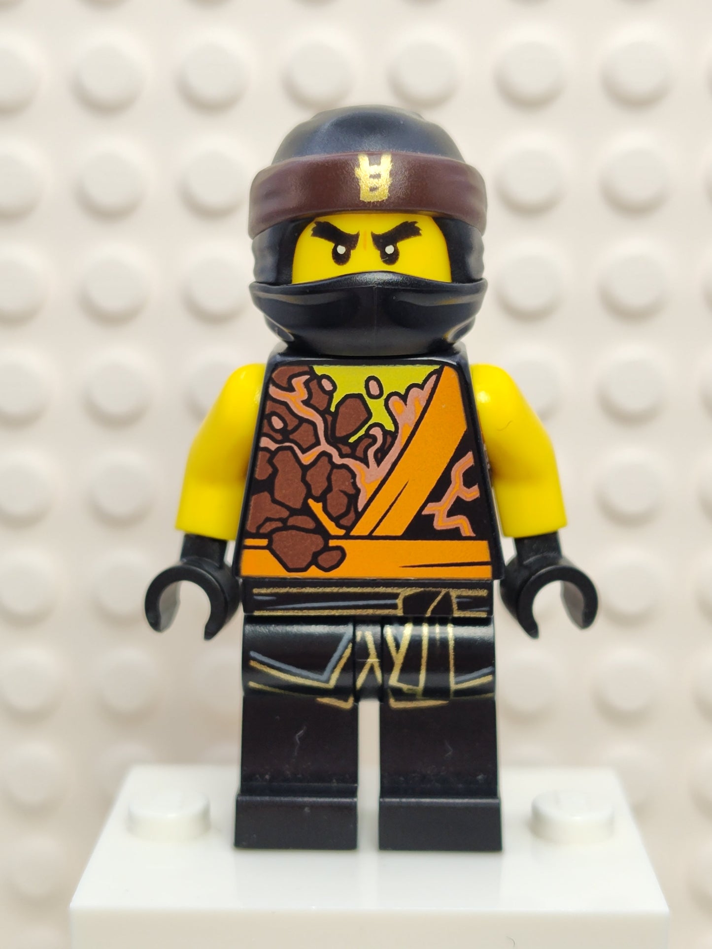 Cole (Spinjitzu Masters), njo0408 - LEGO® Ninjago Minifigure