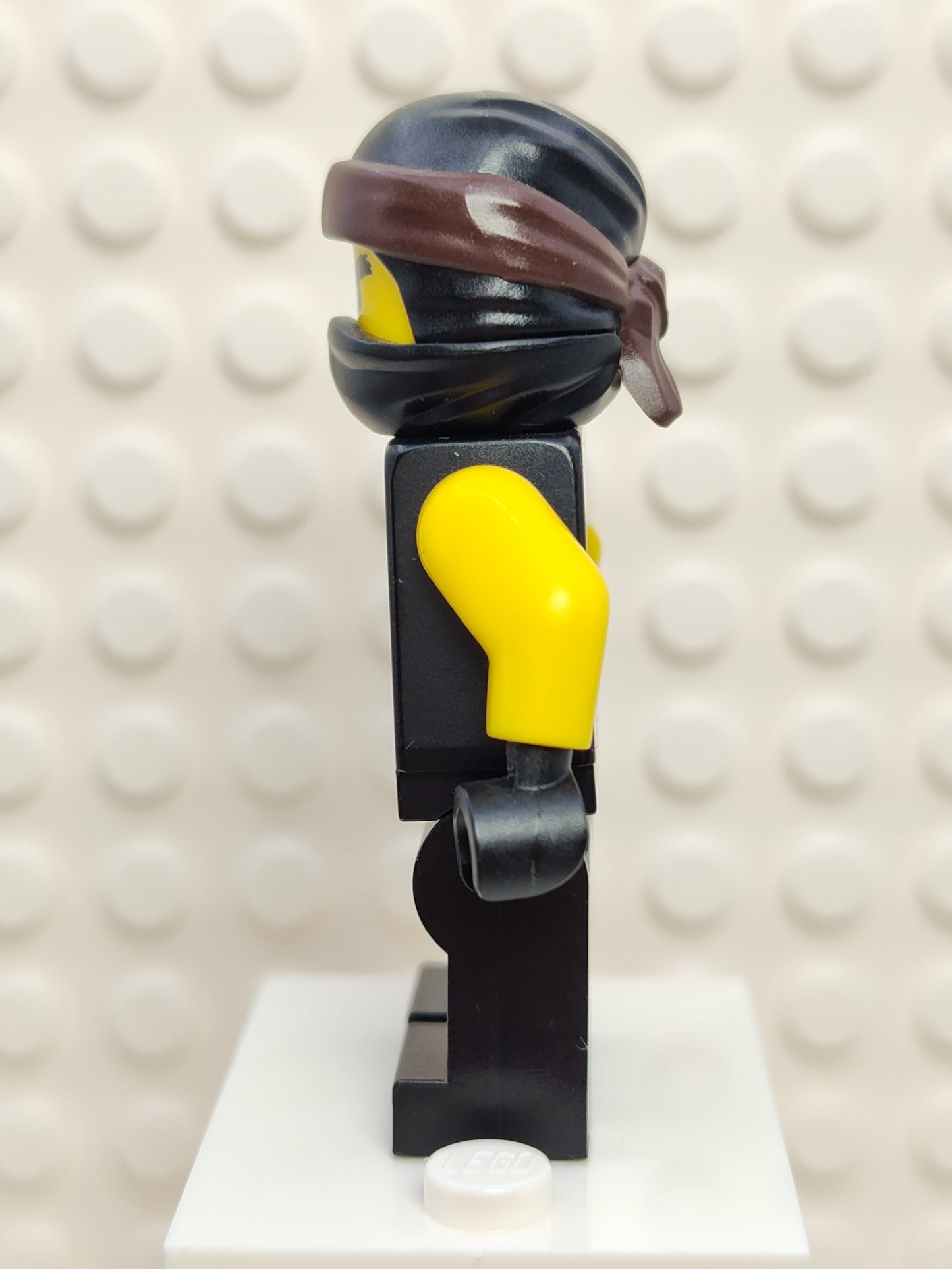 Cole (Spinjitzu Masters), njo0408 - LEGO® Ninjago Minifigure