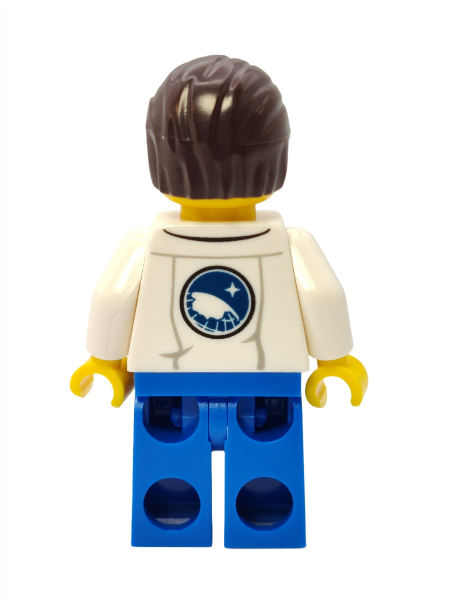 Arctic Scientist - Beard, cty0494