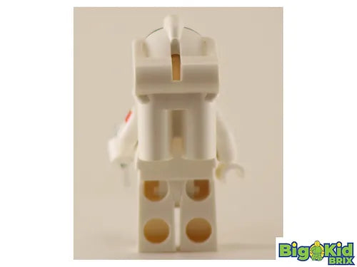 BUZZ ALDRIN American Hero Custom Printed on Lego Minifigure