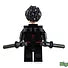 REDWING DC Custom Printed Minifigure