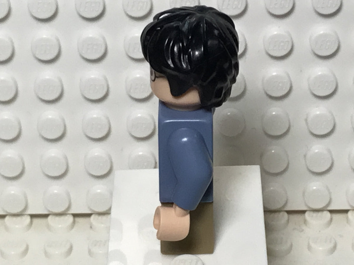 Harry Potter, hp316, LEGO® Harry Potter™ Minifigure