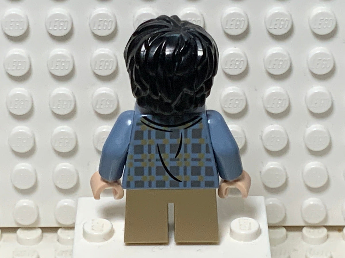 Harry Potter, hp256, LEGO® Harry Potter™ Minifigure
