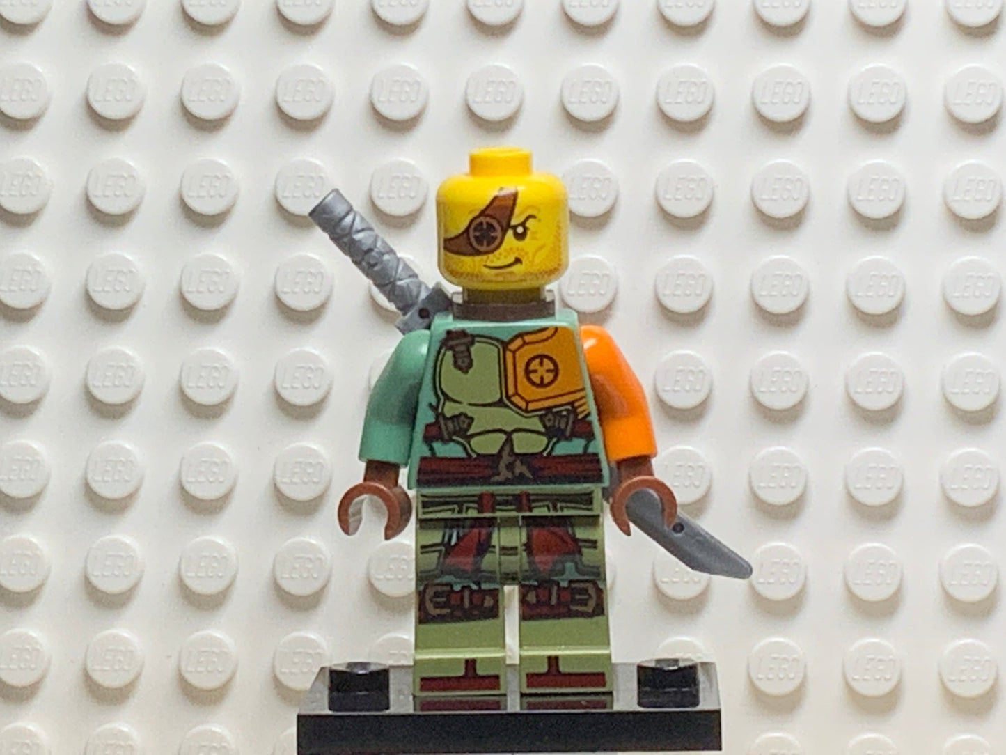 Ronin, njo0149