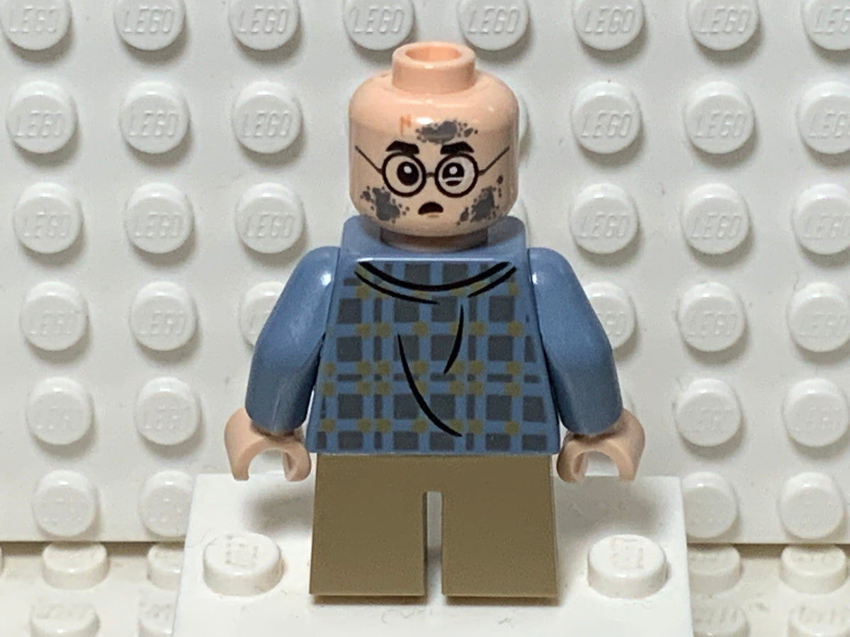 Harry Potter, hp256, LEGO® Harry Potter™ Minifigure
