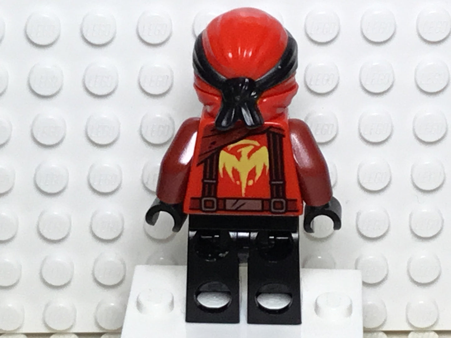 Kai (Dragon Masters), njo0452 - LEGO® Ninjago Minifigure