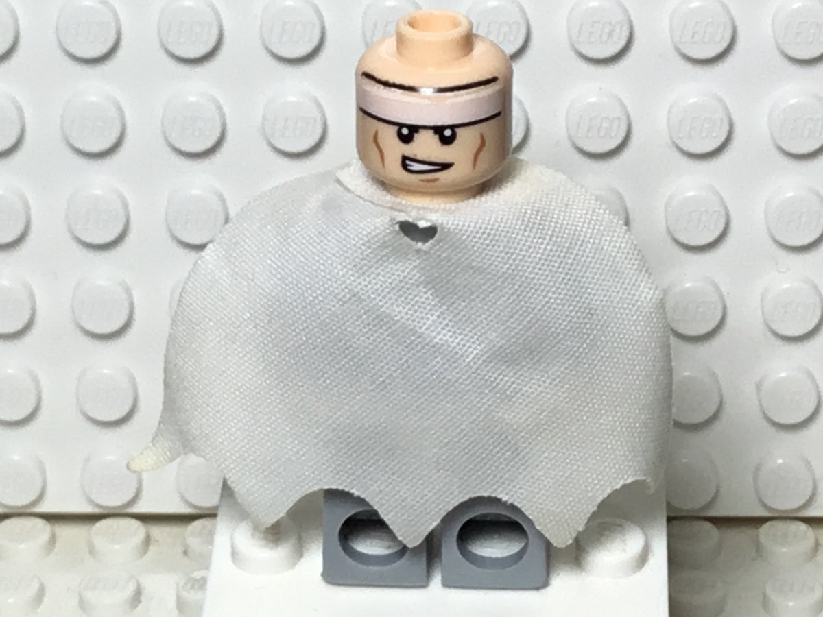 Arctic Batman, sh0047 - LEGO® DC Super Heroes Minifigure