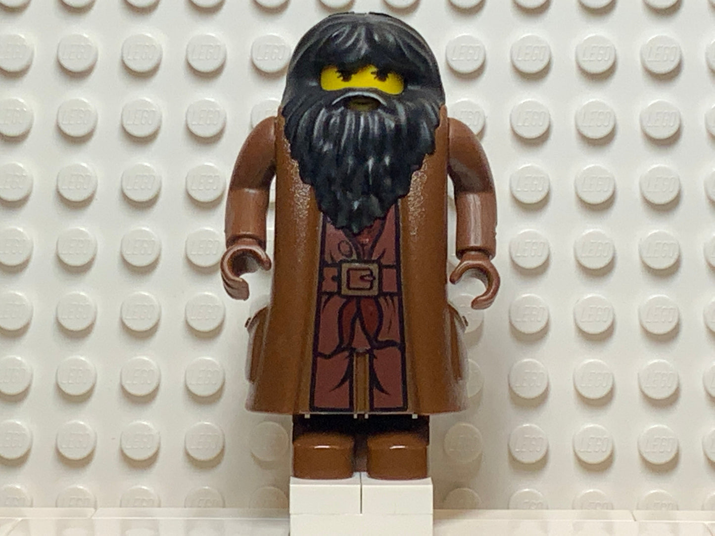 Rubeus Hagrid, hp009
