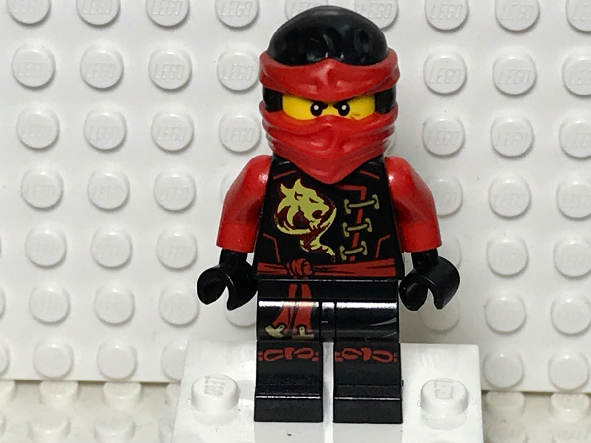 Kai (Without armor) Skybound, njo0198