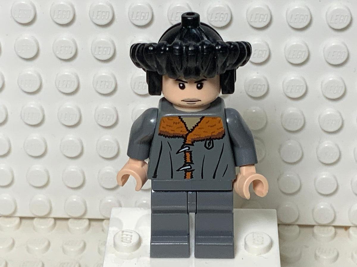 Viktor Krum, hp077