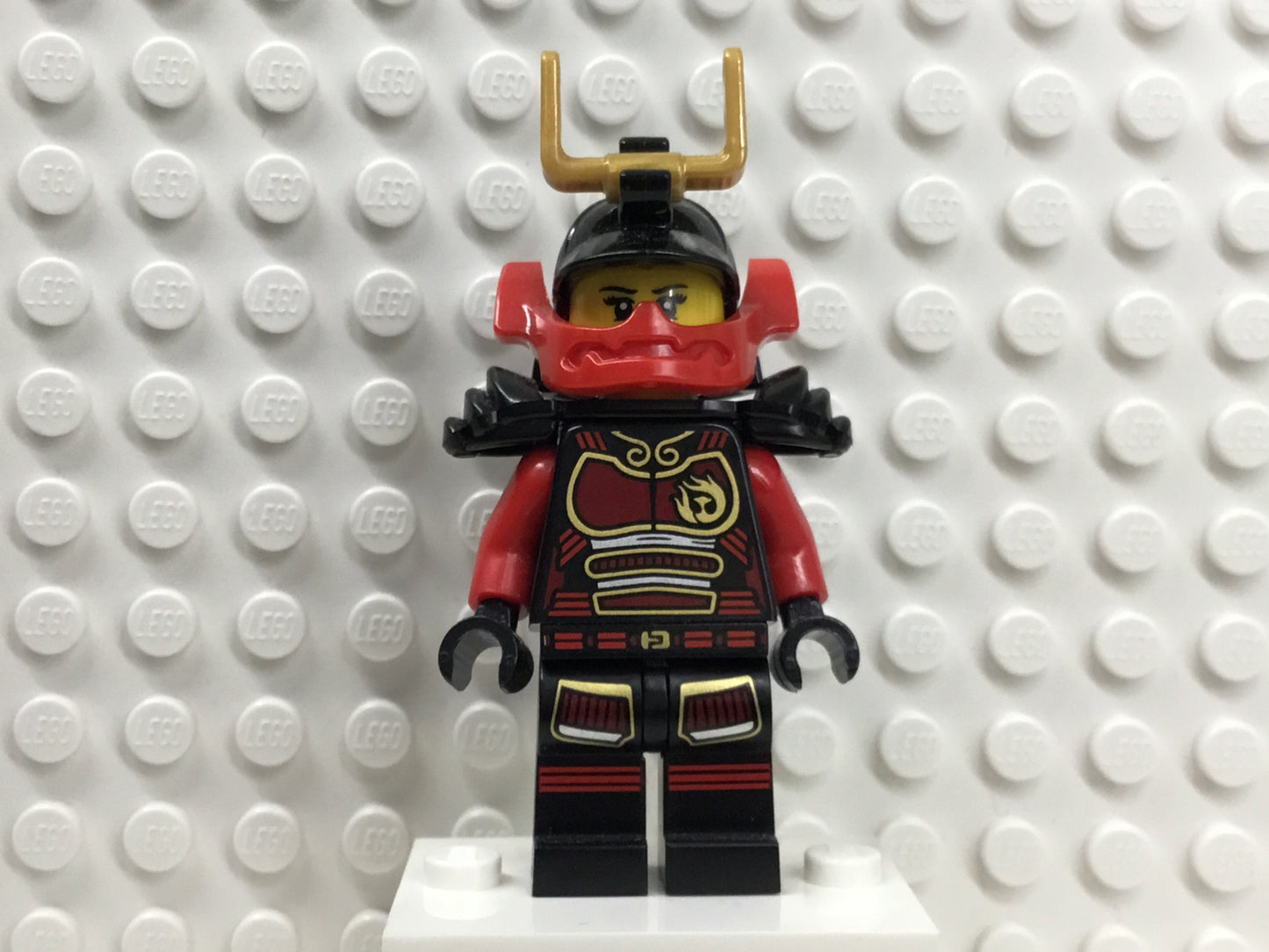 Samurai X, njo0229