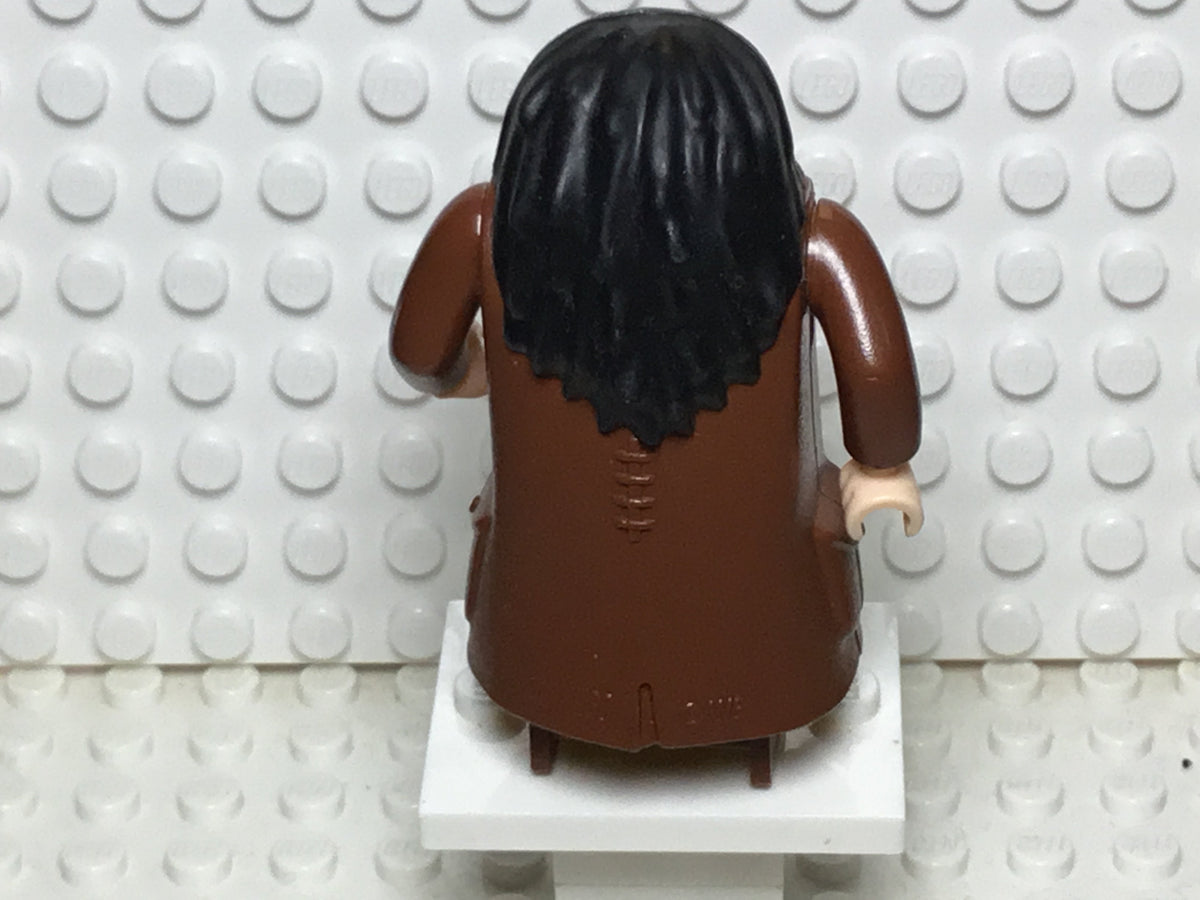 Rubeus Hagrid, hp061