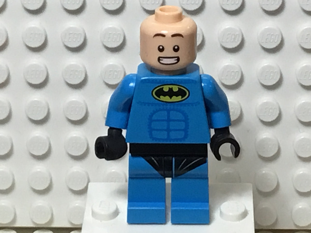 Nightwing, sh0442