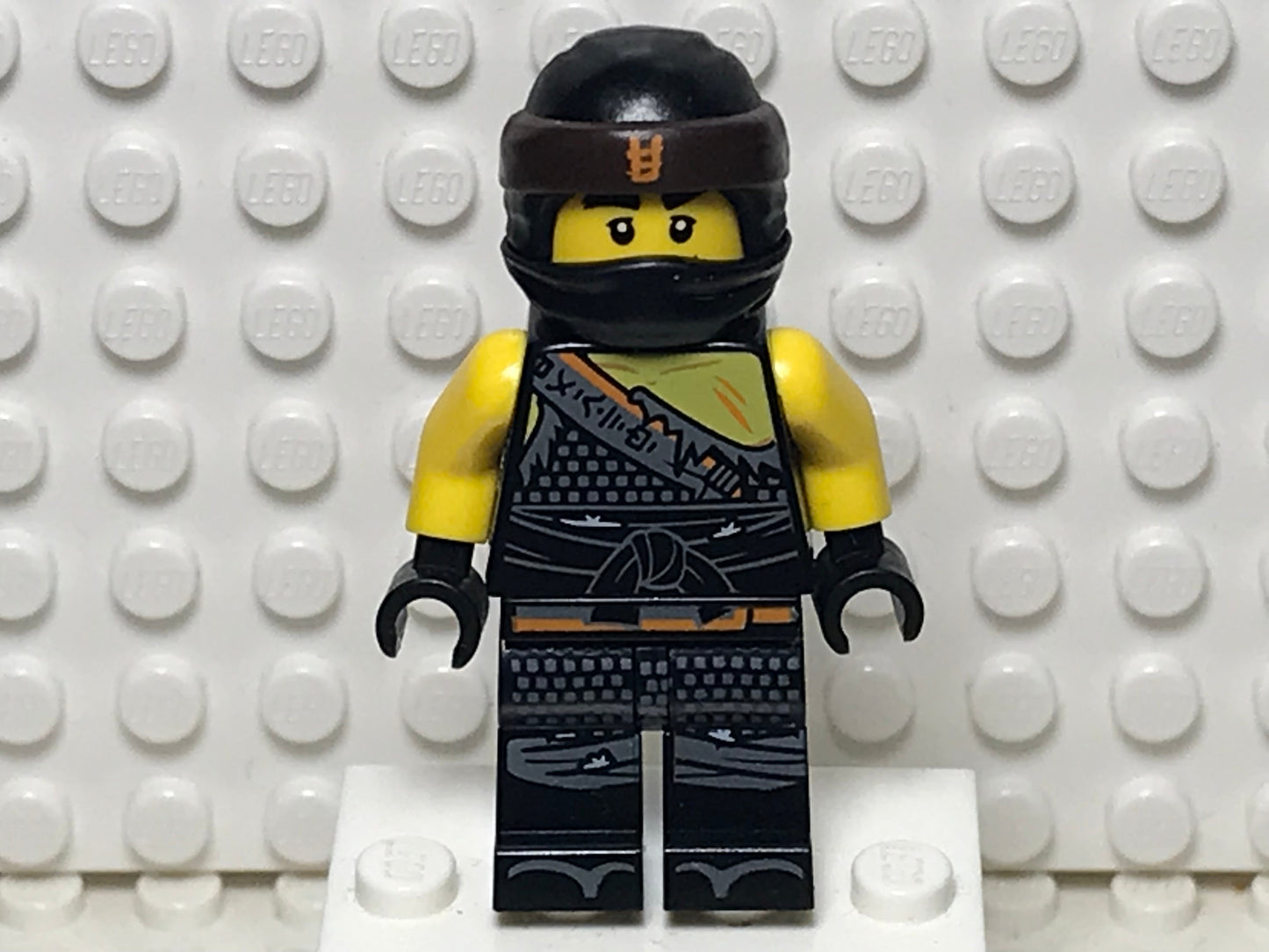 Cole (Hunted), No Armor, njo0460