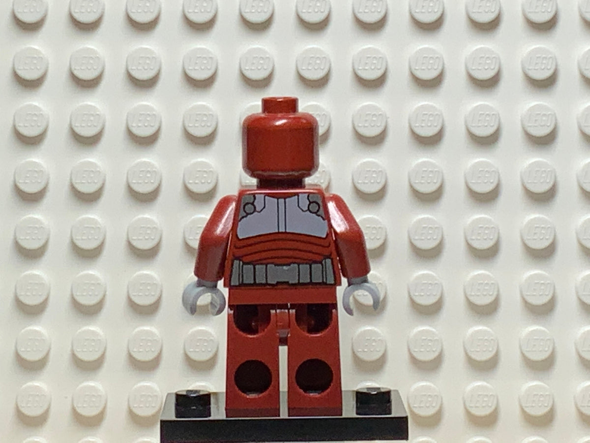 Beetle, sh0053