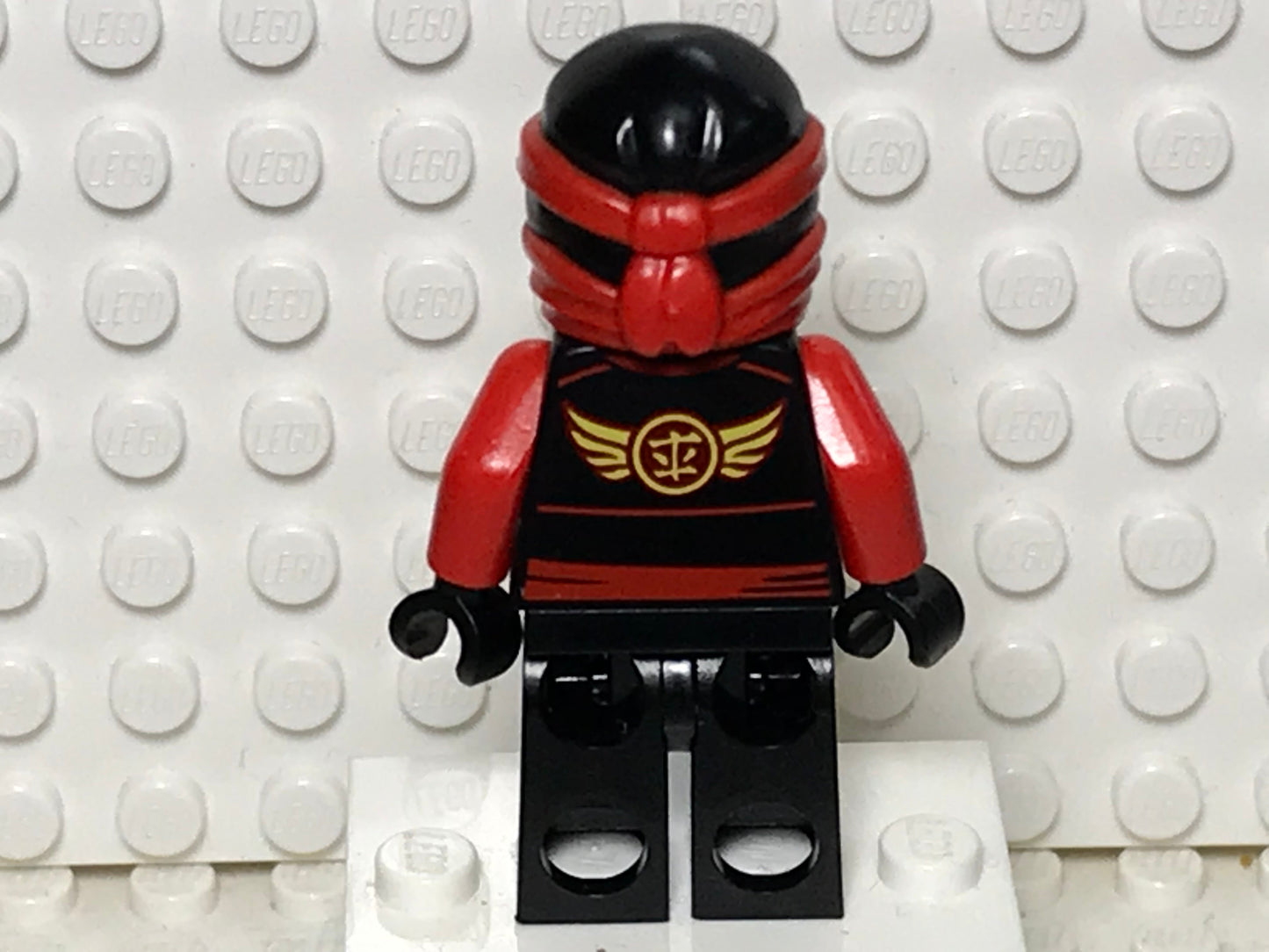Kai (Without armor) Skybound, njo0198