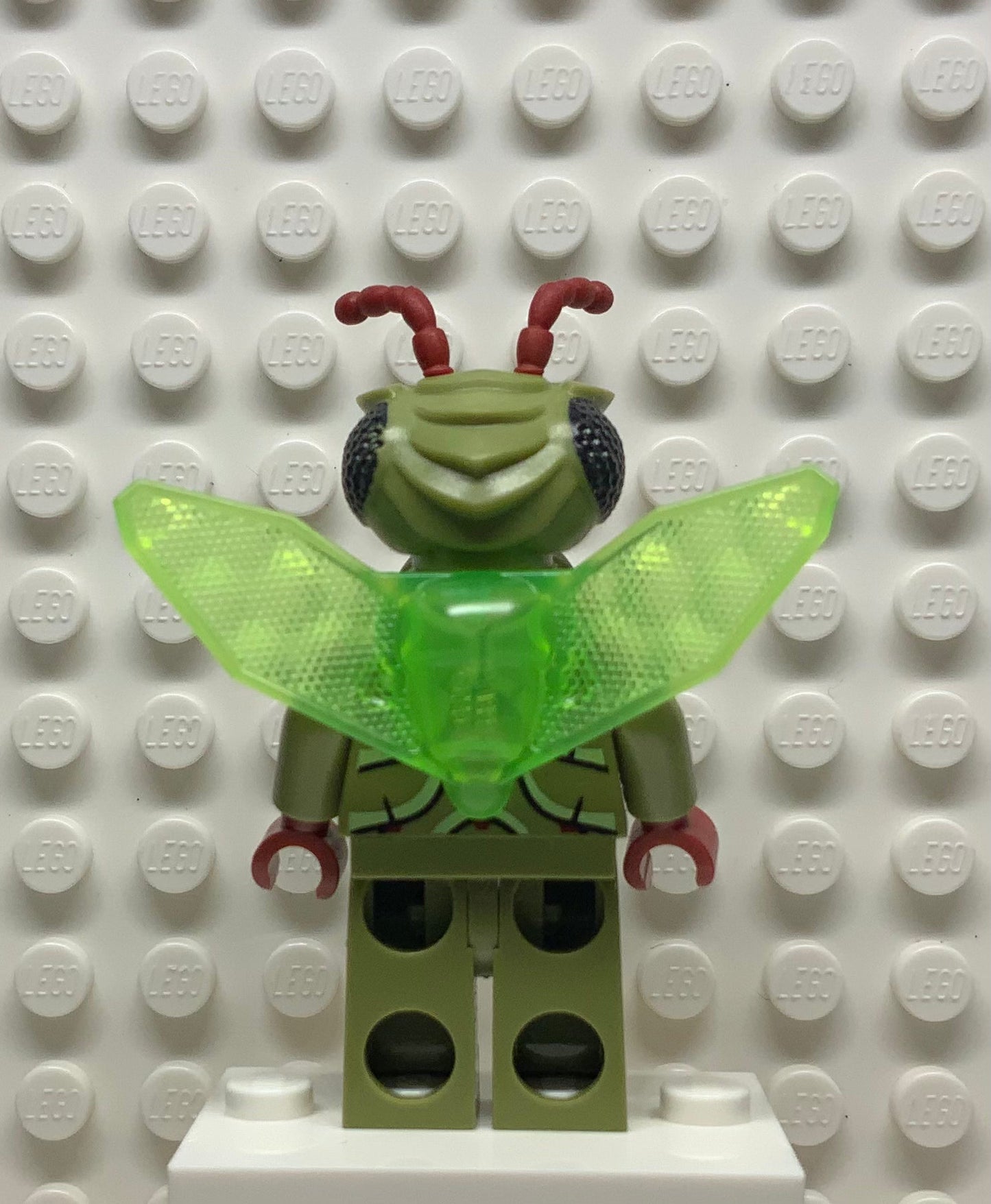 Winged Mosquitoid, gs003