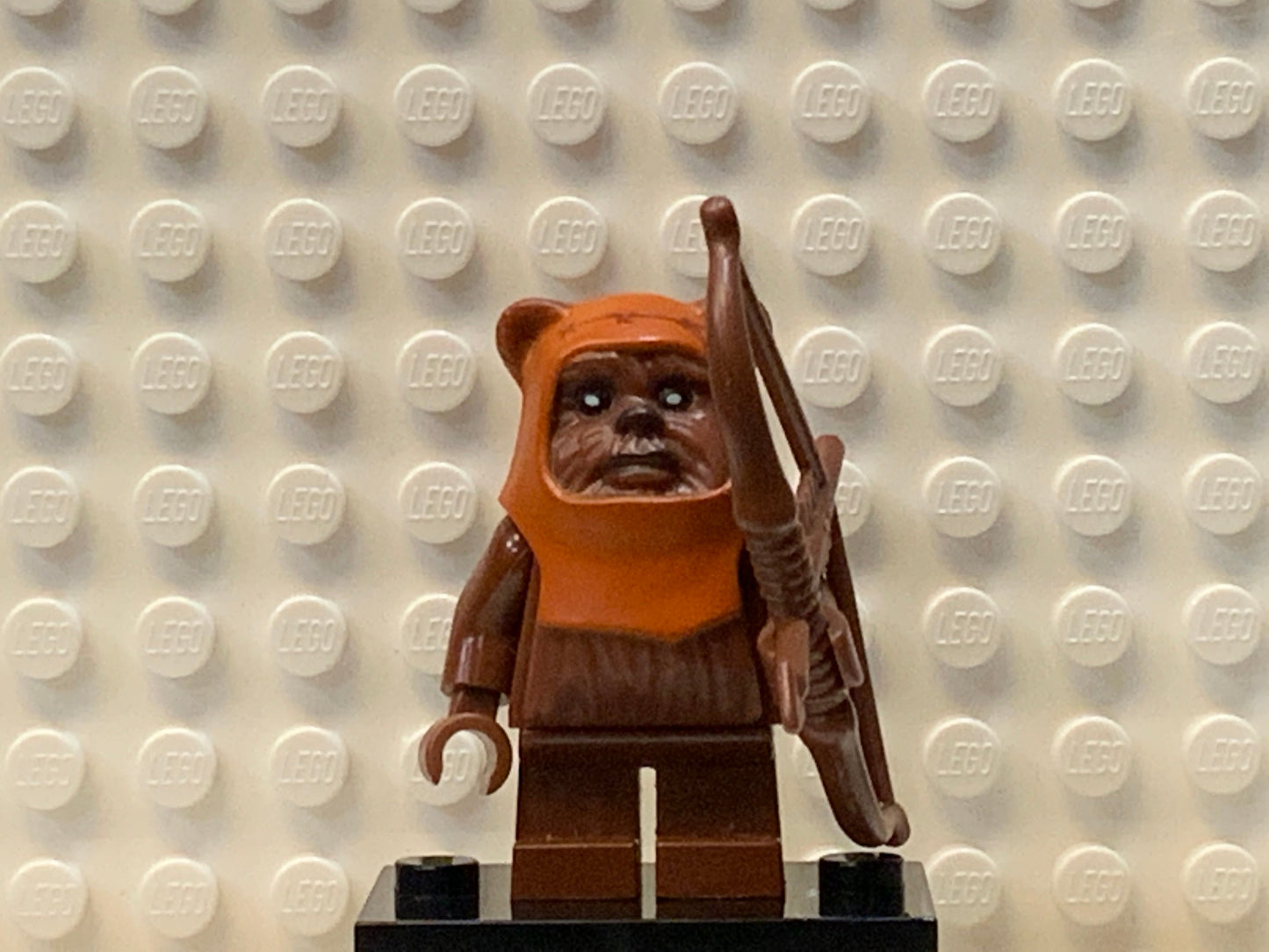 Wicket, sw0237
