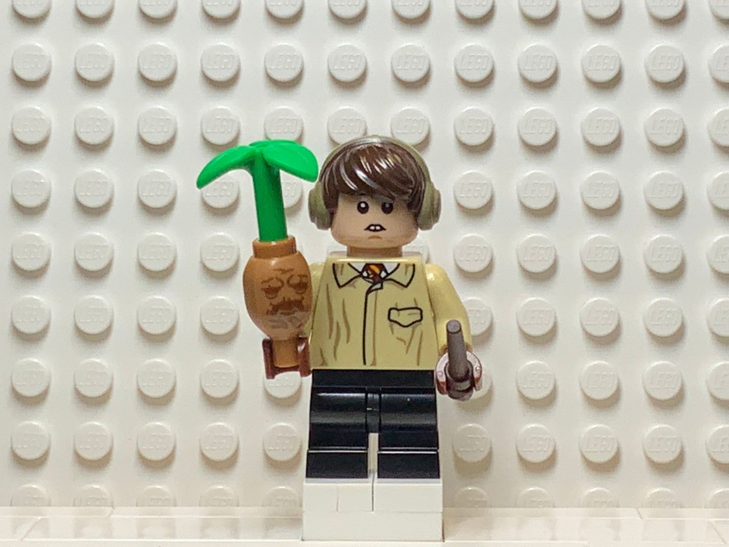 Neville Longbottom, colhp-6