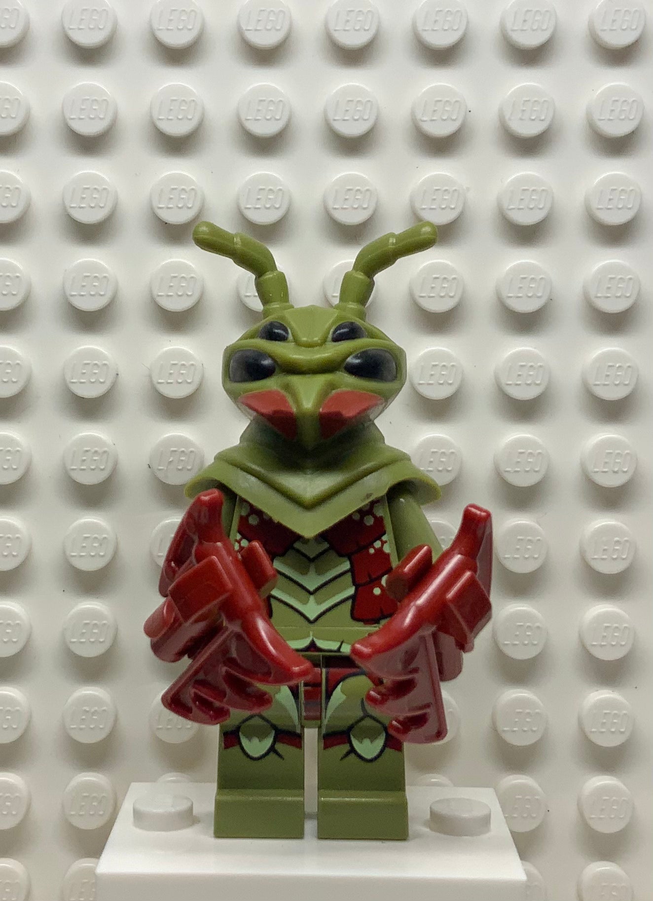 Mantizoid, gs014